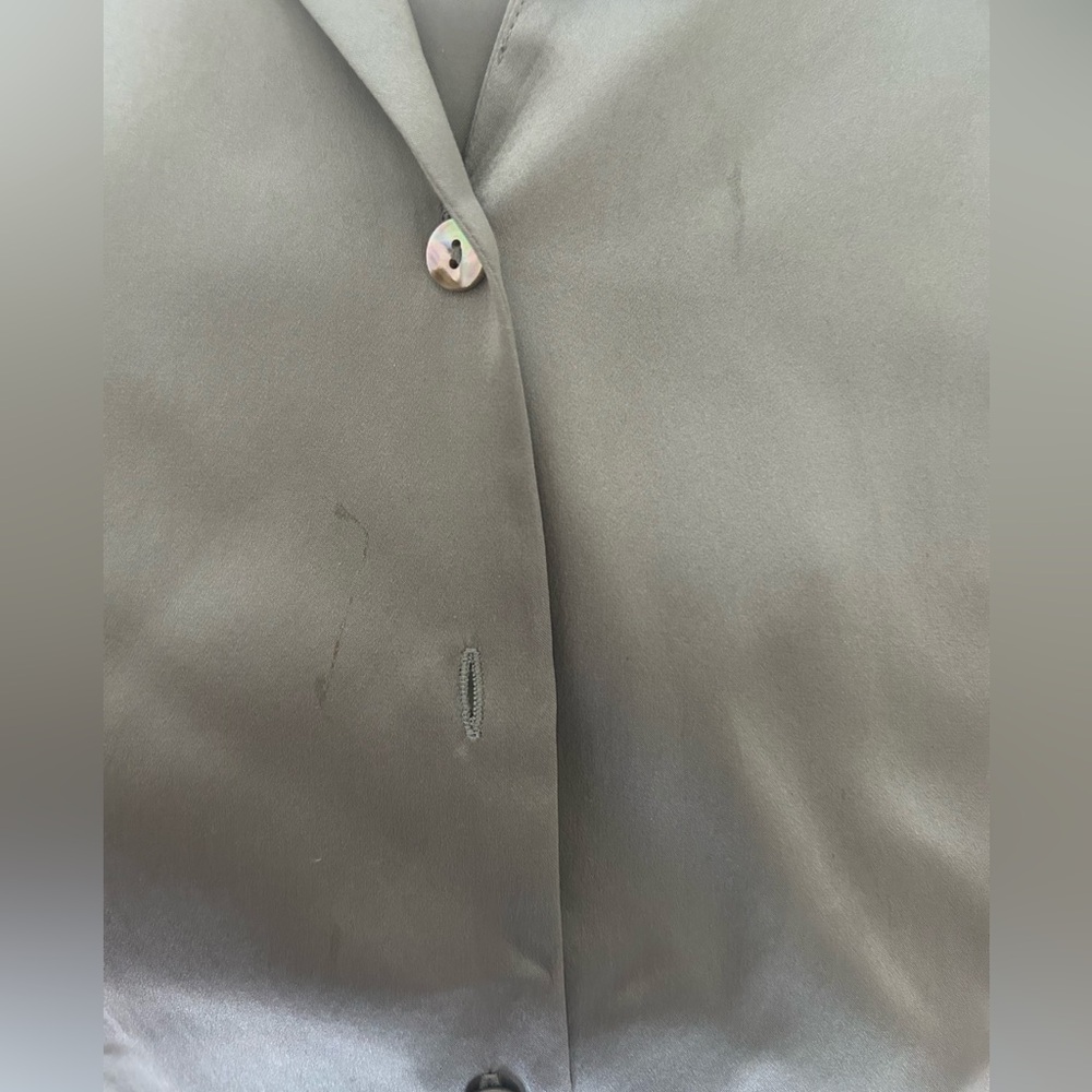 Silver Button-Up Blouse - Picture 6 of 6